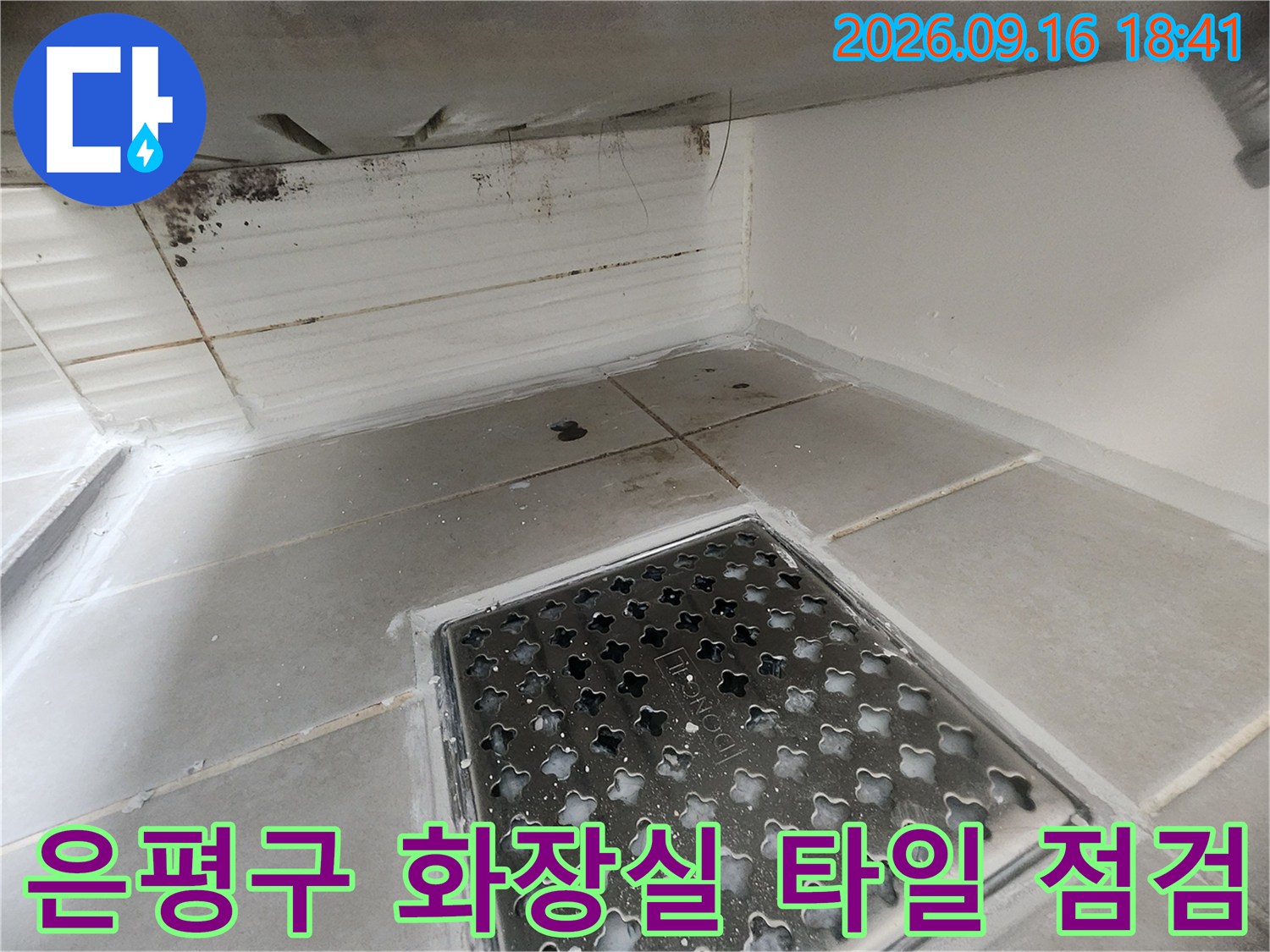 은평구 화장실 벽면 타일 틈새와 배수구 주변 상태를 확인하는 사진입니다.