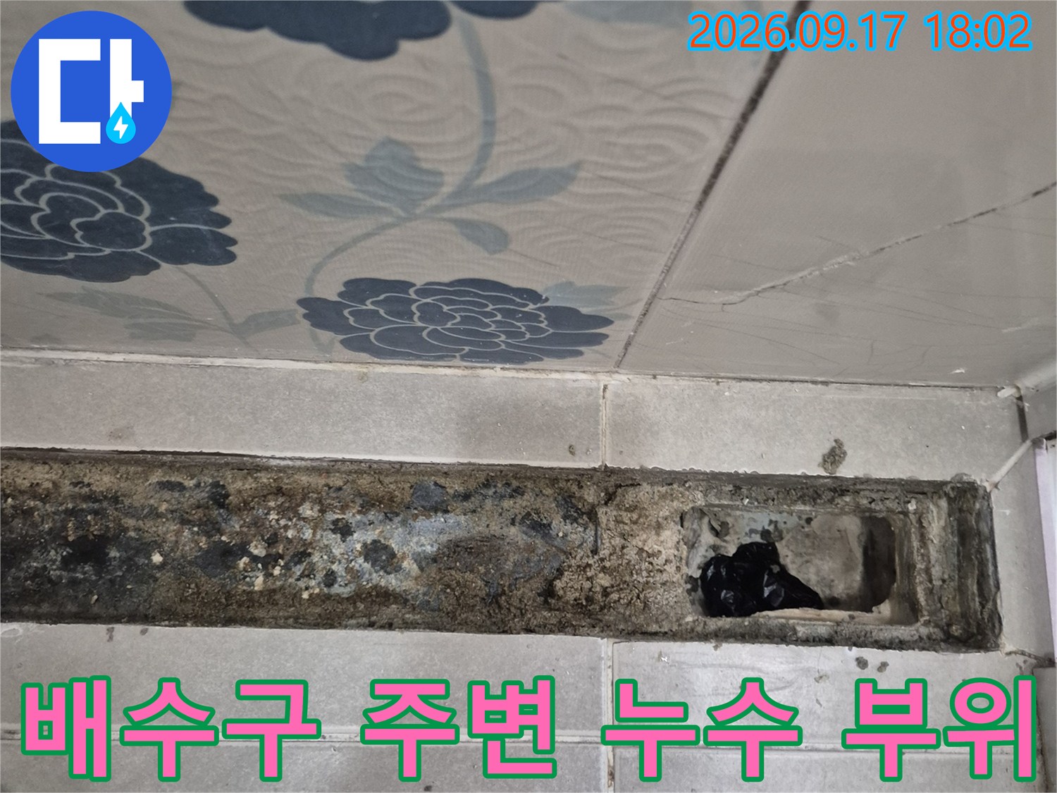 화성시 반송동-욕실 배수구 주변의 손상된 방수층과 오염된 벽면 상태