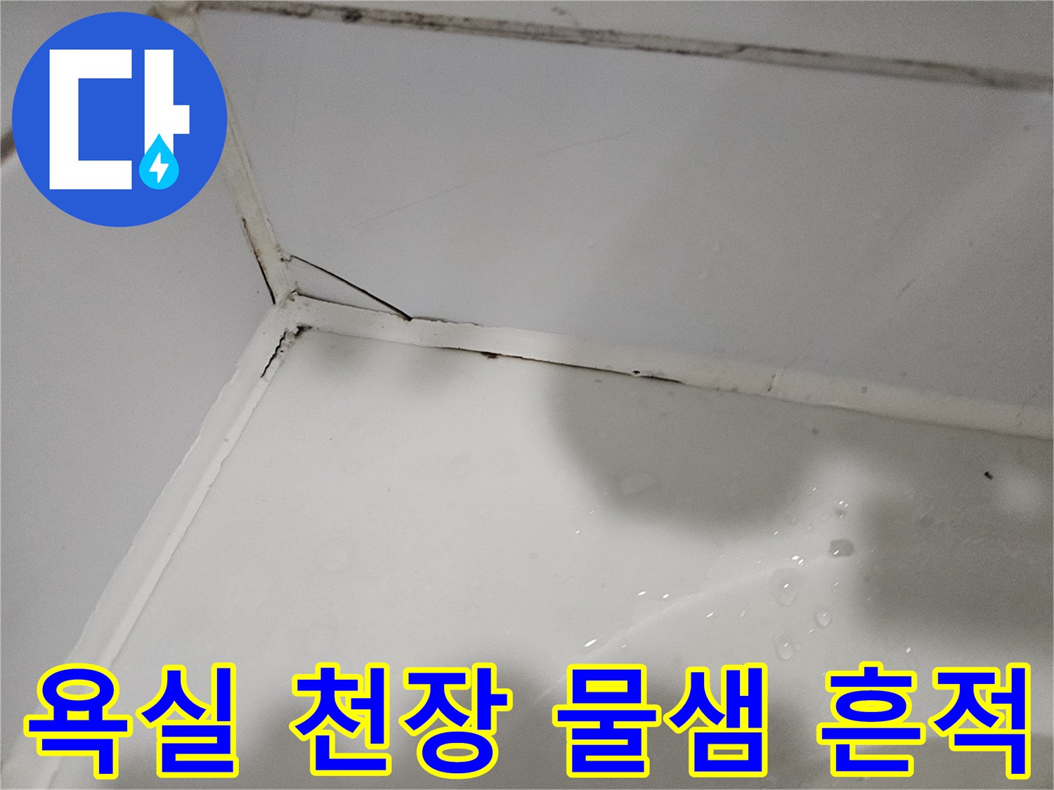상계동 욕실-천장 코너 부위의 습기 및 물 고임 현상